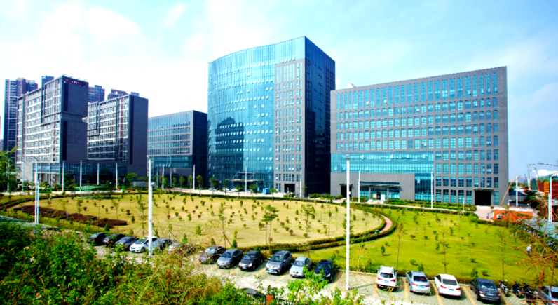东莞市洲航货运代理有限公司定制化跨境货运解决方案及客户案例分享
