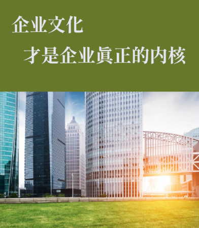 东莞市洲航货运代理有限公司国际海运与报关代理服务项目全解析
